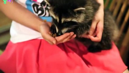 남포동출장안마 -후불100%ョO7Oy7575y0069｛카톡CC6969｝ 남포동전지역출장안마 남포동오피걸 남포동출장마사지 남포동안마 남포동출장마사지 남포동콜걸샵∏∨⇔