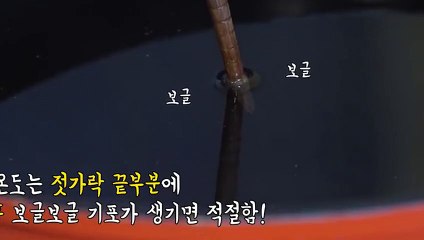 부안출장타이O7OW7301W9649｛카톡CS69｝ぱ부안출장안@마ぱ부안출장샵ぱ부안출장맛사지 ぱ부안출장걸썰 부안출장걸가격 부안출장러시아 부안외국인후불출장업소 부안24시출장마사지샵'예약▨¶