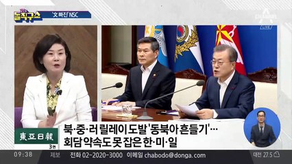 다시 소환된 ‘퓨마의 추억’…뒤늦은 NSC