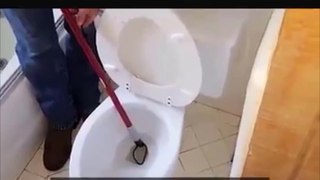 Snakes In Toilet, Do You Afraid Of Them