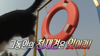 강화출장안마 -후불100%ョOiOc2659c1768｛카톡KP93｝ 강화전지역출장안마 강화오피걸 강화출장마사지 강화안마 강화출장마사지 강화콜걸샵≫√▼