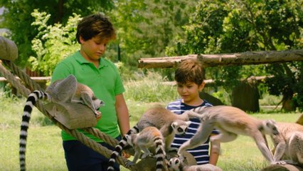 Konuşan Hayvanlar Fragman