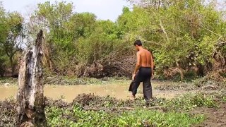 Build Snake Pond And Lift Up Hundreds Of Water Snakes From Dried Up Pond