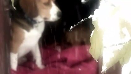 부안출장안마 -후불100%ョO7Ov7575v0069｛카톡CC6969｝ 부안전지역출장안마 부안오피걸 부안출장마사지 부안안마 부안출장마사지 부안콜걸샵ъыь