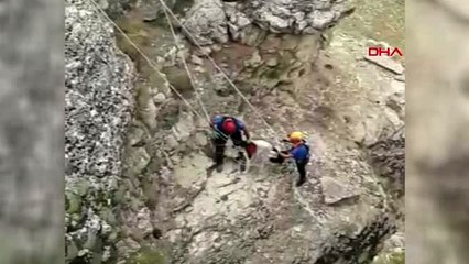 ERZİNCAN KAYALIKLARDA MAHSUR KALAN KÖPEK AFAD TARAFINDAN KURTARILDI