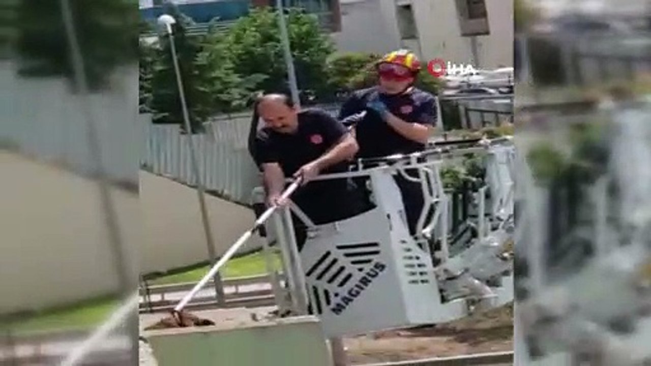 İtfaiyenin üst geçitte mahsur kalan köpeği kurt...