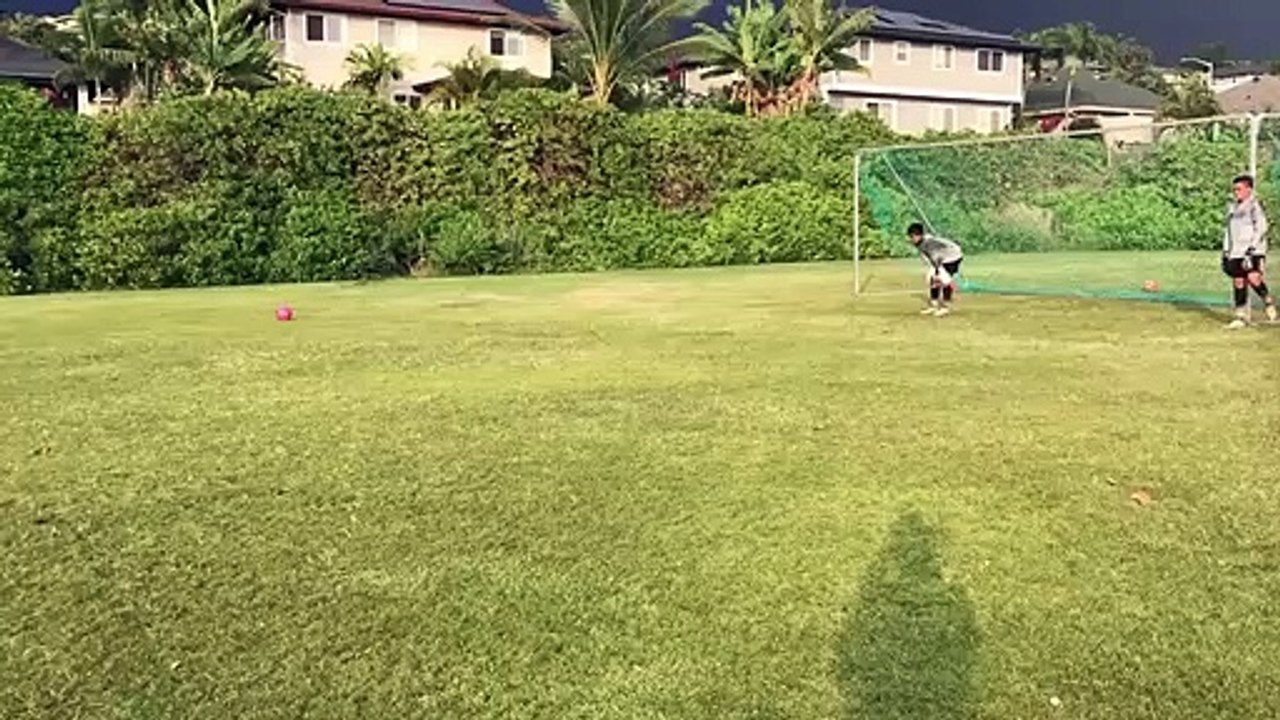 This Is A Real Ball Stopper