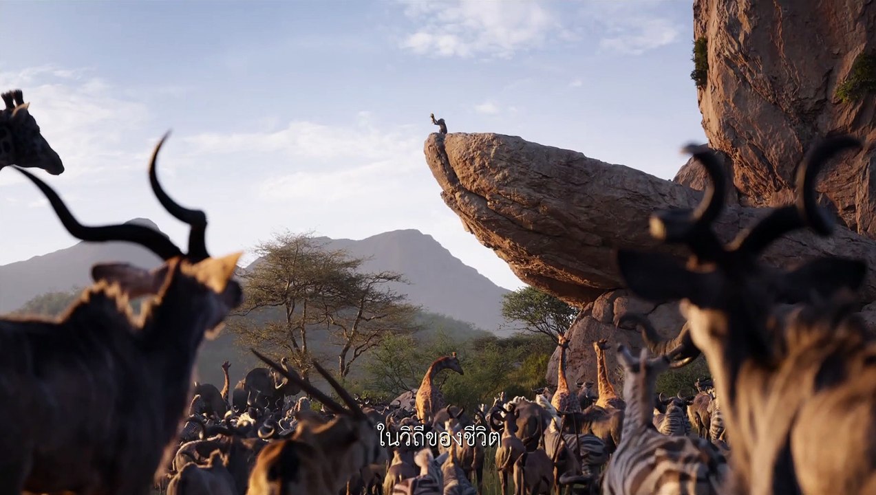 Disney’s The Lion King เดอะ ไลอ้อน คิง l คลิป -Circle of Life