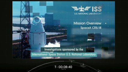 SpaceX CRS-18 launch & Falcon 9 first stage landing