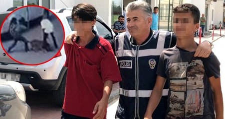 Şarkıcı Haluk Levent, hamile kediyi köpeğe parçalatan çocuklara sahip çıkacak