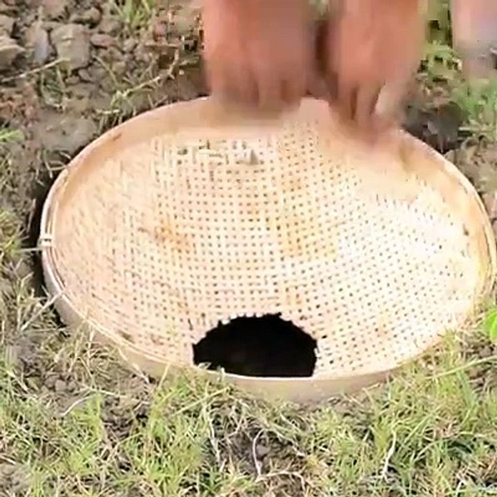 Amazing Hole Fish Trap