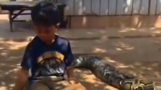 The Cambodian Boy Who Sleeps with a Python