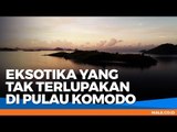 WISATA: Eksotika Pulau Komodo yang Tak Terbantahkan - Male Indonesia
