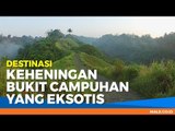 WISATA: Menyambangi Keheningan Bukit Campuhan - Male Indonesia