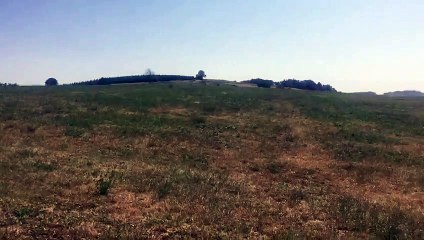 24.000 poules pondeuses bio débarquent à Varmonzey