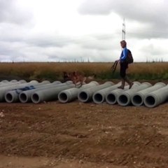 Hundetraining_Balance auf der Baustelle