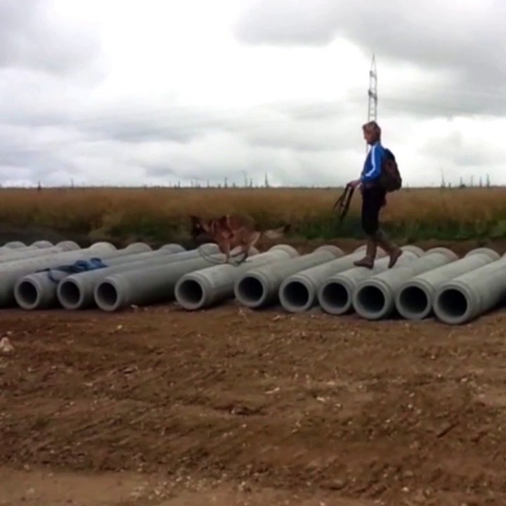 Hundetraining_Balance auf der Baustelle