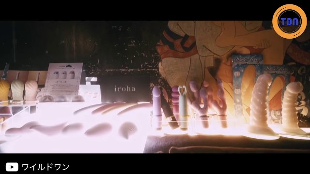 Après les bars à chats, les bars à… jouets pour adultes !