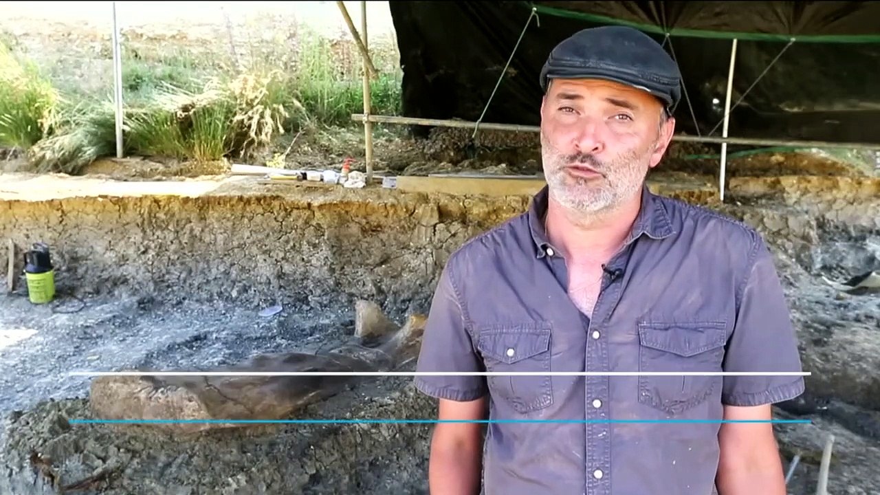 Massive dinosaur bone uncovered in southern France