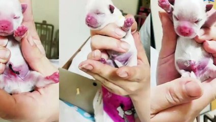 남동출장안마 -후불100%ョ Ø7ØE7575E0040｛카톡EM85｝ 남동전지역출장안마 남동오피걸 남동출장마사지 남동안마 남동출장마사지 남동콜걸샵∠⊥≤