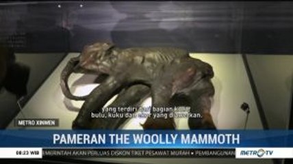Mengunjungi Pameran The Woolly Mammoth