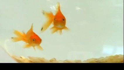 논산출장타이O7Os7575s0062｛카톡DDR88｝ぱ논산출장안@마ぱ논산출장샵ぱ논산출장맛사지 ぱ논산출장걸썰 논산출장걸가격 논산출장러시아 논산외국인후불출장업소 논산24시출장마사지샵'예약☜●♀