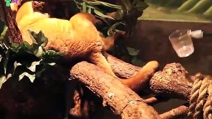 광진출장타이O7Oy7575y0069｛카톡CC6969｝ぱ광진출장안@마ぱ광진출장샵ぱ광진출장맛사지 ぱ광진출장걸썰 광진출장걸가격 광진출장러시아 광진외국인후불출장업소 광진24시출장마사지샵'예약œßþ