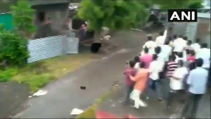 ఎలుగుబంటినే పరుగెత్తించిన ప్రజలు (వీడియో)