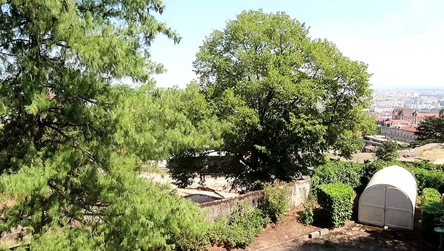 Répétitions de Jeanne Added : ce qu'entendent les riverains