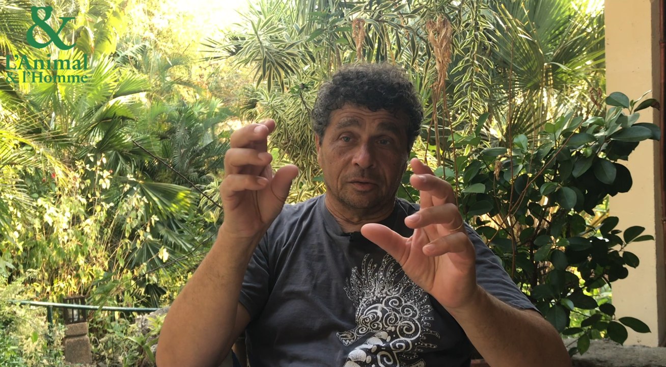 Interview 2 Patrick Louisy : La bouche redoutable de l’hippocampe
