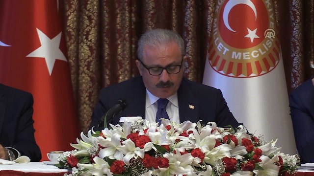 TBMM Başkanı Mustafa Şentop (6) - TBMM