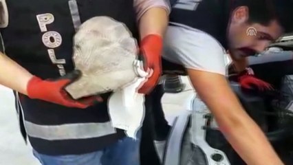 Adana'da tarihi eser kaçakçılığı operasyonu