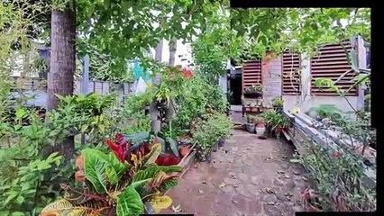 Ensemble immobilier à Saint-Joseph, La Réunion 974 - 309 000 € HAI