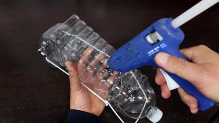 Water bottle bird trap
