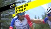 Pinot abandonne / Pinot out - Étape 19 / Stage 19 - Tour de France 2019