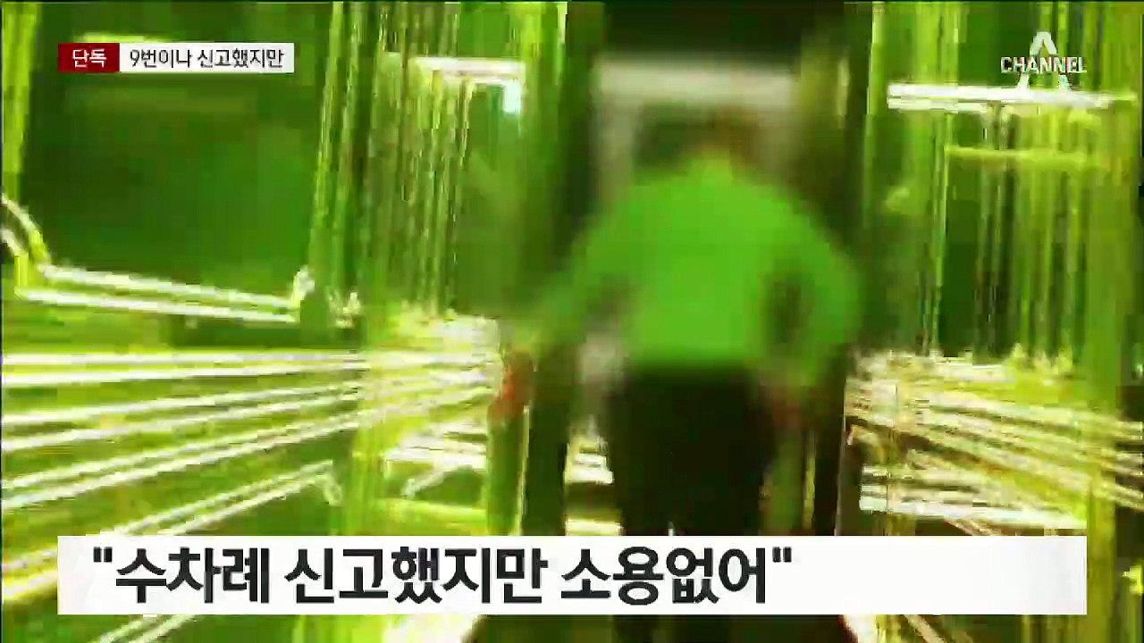 [단독]‘대성 빌딩’ 올해만 9차례 신고…버젓이 불법영업