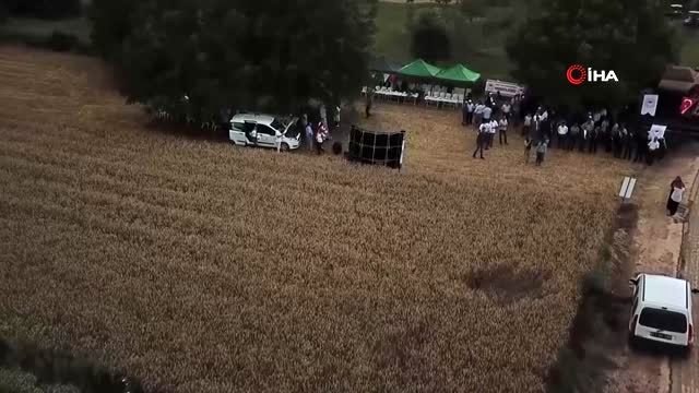 Vali Şentürk Tarla Günü'nde biçerdöverle hasat yaptı...Hasat yapılan tarlalar havadan görüntülendi