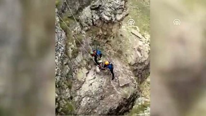 Kayalıklarda mahsur kalan köpek ekiplerce kurtarıldı