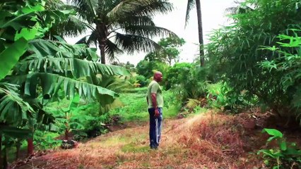 Présentation du dispositif LEADER 2014 - 2020 du GAL Nord Martinique