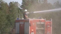 Explosionsgefahr: Wieder Waldbrand in Brandenburg