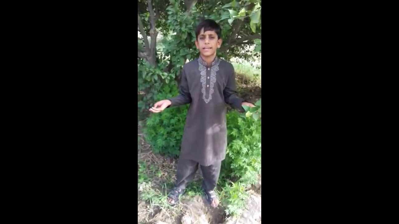 Amazing Talent of  Young Boy |  DailyMotion|