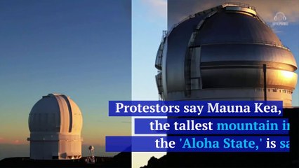 Dwayne Johnson Marches With Protestors in Hawaii