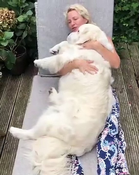 Adorable ! Cette femme donne un gros câlin à son chien immense !