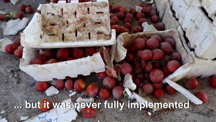 Regime strike pummels market in Syria's Idlib province