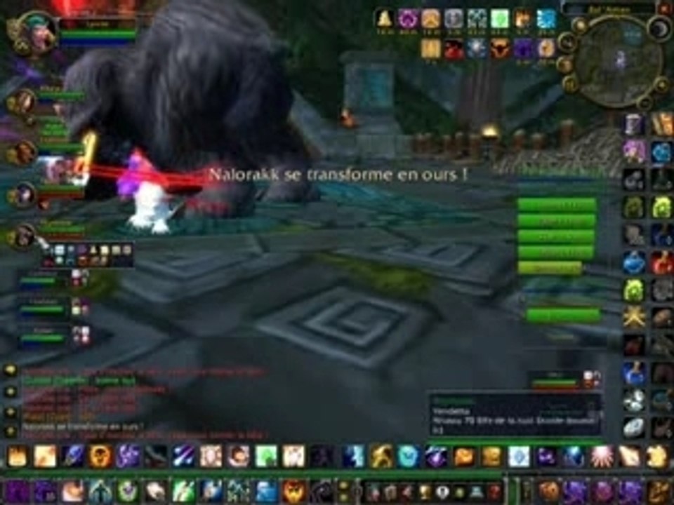 Jeux WOrld Of Warcraft - Zul Aman Boss Nalorakk