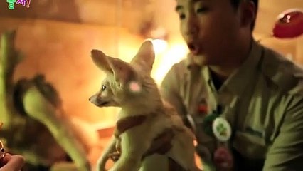 광산출장안마 -후불100%ョ070c5180c1619｛카톡NX34｝ 광산전지역출장안마 광산오피걸 광산출장마사지 광산안마 광산출장마사지 광산콜걸샵ぐけぉ