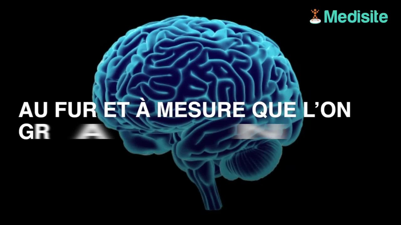 Le surpoids est-il responsable du vieillissement prématuré du cerveau ?