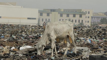 در بزرگترین گورستان لوازم الکترونیکی دنیا چه می‌گذرد؟