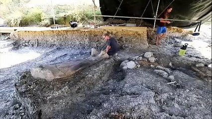 Hatalmas dinoszauruszcsont bukkant elő a földből Franciaországban