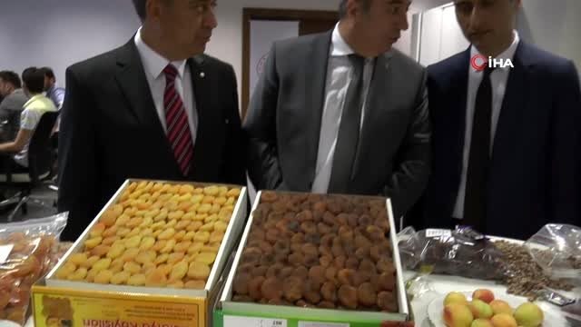 Malatya kayısısı Uzakdoğu pazarına açılıyor